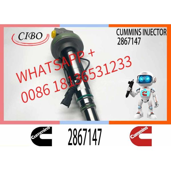 New Good Testing High formance Fuel Injector 2882077 2867147 Y431K05392 2882077PX for QSK19 QSK38 QSK50 More