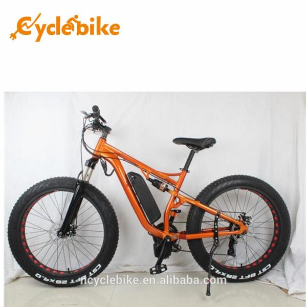 48 V 1000w Mid Drive Motor Fat Tire Powerful Electric Bike For Ladies , No Foldable