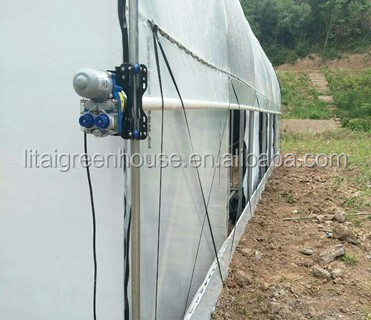 Film Covered Galvanized Greenhouse for Stable Structure and Vegetable Cultivation
