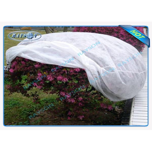 Enviro Anti UV Polypropylene Garden Weed Control Fabric / Mat for LandscapeAgriculture Non Woven Cover