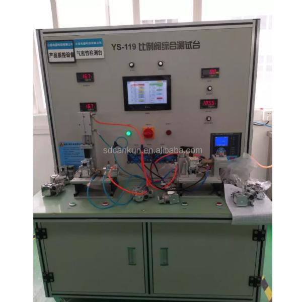 Stainless Steel Gas Water Heater NG LPG Gas Hot Water System 10L 12L Wall Mounted