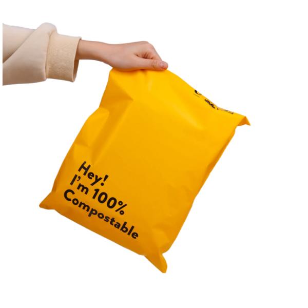 Tear Resistant Self Adhesive Courier Bags Customized Bubble Wrap Courier Bags