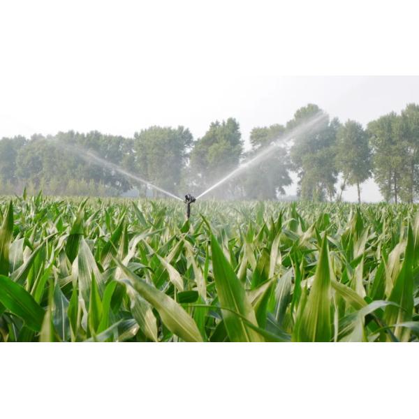 Amino Acid Chelate Zinc Manganese Boron Liquid Organic Fertilizer Transaprent Brown