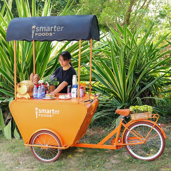 Three Wheels Mobile Vending Cart for Coffee Retail Hot Dog Truck Tricycles Ice Cream