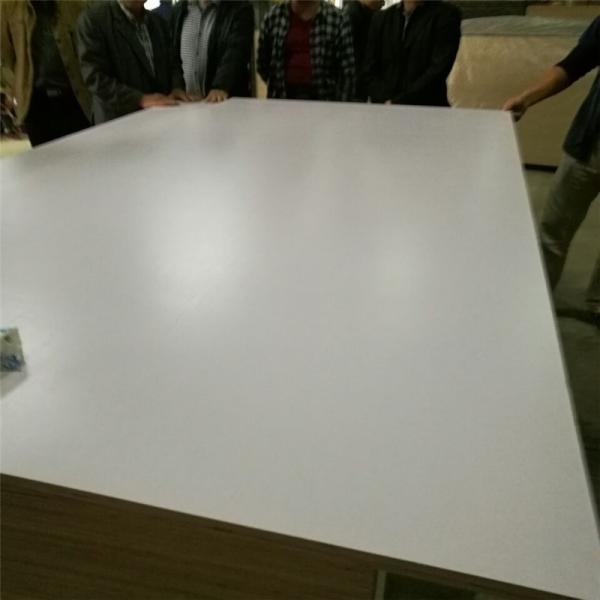 Hardwood Core Gloss Surface 1220*2440mm Melamine Faced Plywood