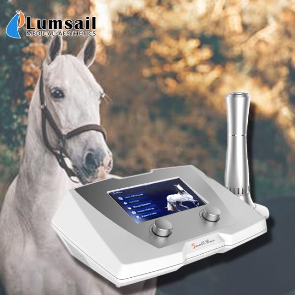 Veterinary Horse Shockwave Therapy Machine 1 - 22 Hz Frequency 320 * 225 * 126mm