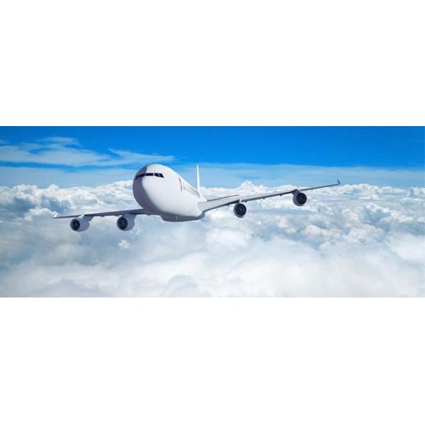 Грузить от Китая к Соединенным Штатам Складу Снабжению Решению Компании