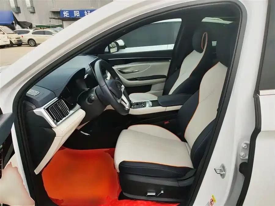 Song PLUS New Energy 2021 EV Premium Model For
