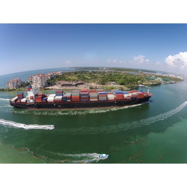 Пересылка моря Китая Лкл Фкл воздуха в международный морской контейнер ДДУ Доминики