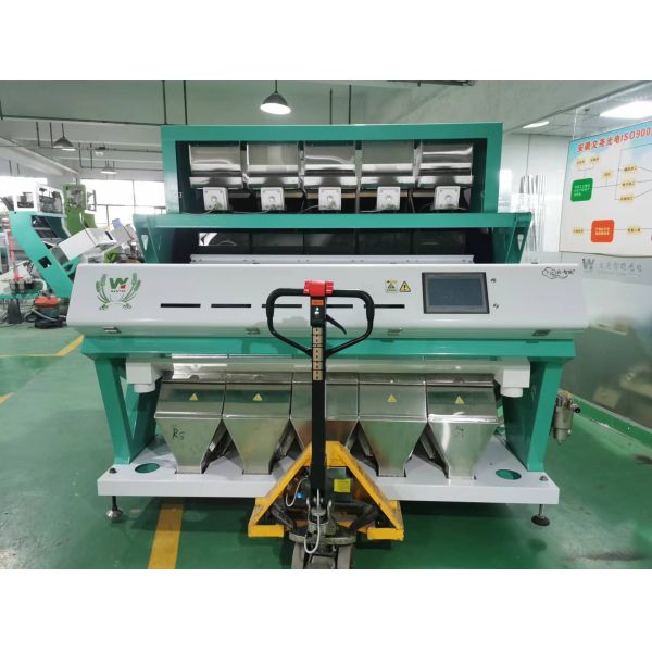 Top Quality  Peanut Groundnut Walnut Almond  Hazelnut  Pistachio Color Sorter Machine From Wenyao China