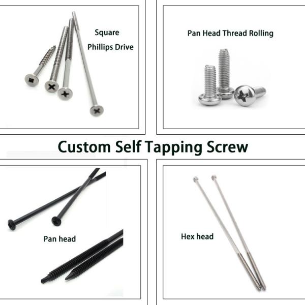 ISO9001 2015 Certified SS304 Stainless Steel Self Tapping Screws for Metric Measurement