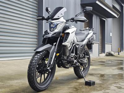 Versatile Single Cylinder Air-cooled 4 stroke Electric Dirt Bikes 300cc Street Race Motorcycle Honda YAMAHA TVS BAJAJ