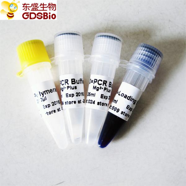 GDSBio Taq DNA Polymerase For PCR Master Mix