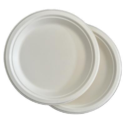 White Color Different Sizes Eco-friendly Disposable Tableware Lightweight Bagasse Paper Plate
