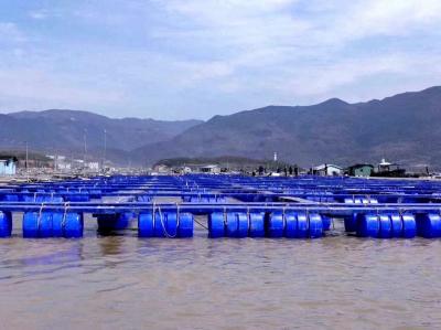 HDPE Pipe Aquaculture Floating Fish Cage Bucket Panel Cage For Inshore Lake Reservoir