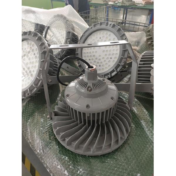 Взрывозащищенный свет приведенный IP66 WF2 20-240W для жестких промышленных применений