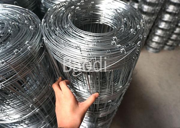 Galvanized Metal Wire Woven Field Fence Rolls 6 Mesh Hole Space Agricultural Fencing