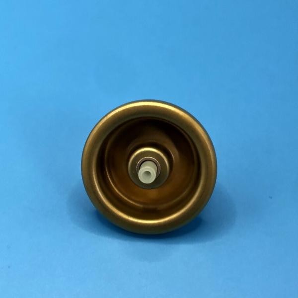 Аэрозольный аккумулятор для волос с точностью Mousse - Улучшенный контроль за салоном-качественный стилизм