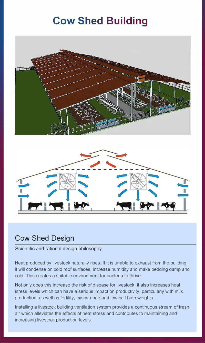 Weatherproof Prefabricated Steel Frame Farm Building Poultry House Easy Install