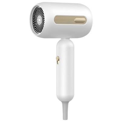 Secador de cabelo ODM com controle de temperatura inteligente e temperatura constante