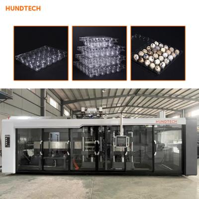Comprimento automático de Tray Making Machine 720mm do ovo da biodegradação