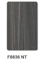 Conseil acrylique à haute brillance de forces de défense principale du Cabinet 19MM de TV, panneautage en bois de forces de défense principale de GV E1