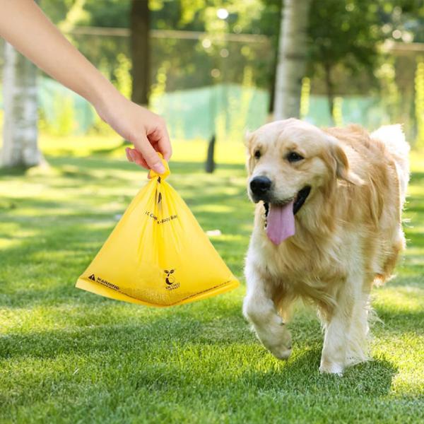 Wholesale 100% Compostable Biodegradable Dog Poop Bag Sustainable Packaging Bags Supplier China OEM Customized Logo Design