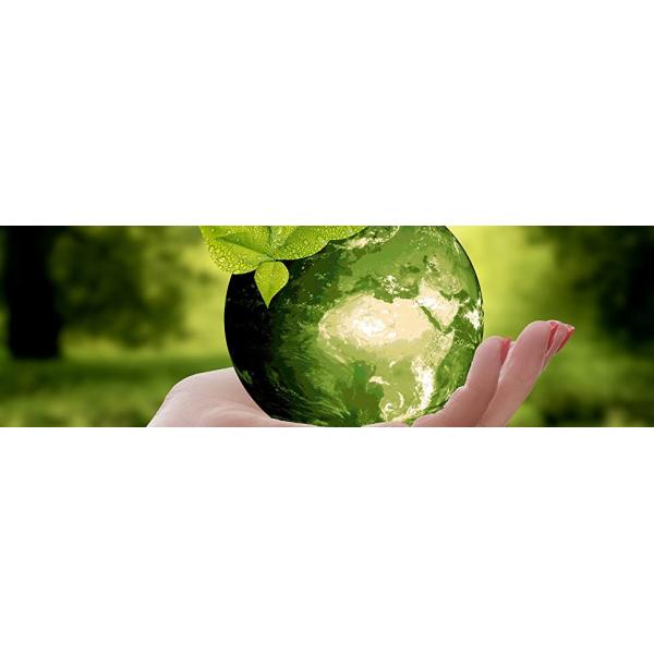 Cornstarch Compostable Shopping Plastic Food Handle T-Shirt Bag, Customized Degradable And Compostable Plastic Food Pack