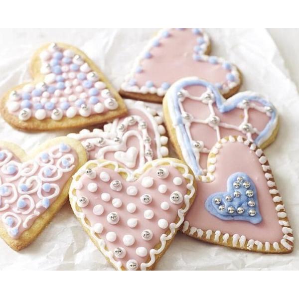 FBT010604 for wholesales pastry icing piping bag sugar craft cake decorating pen