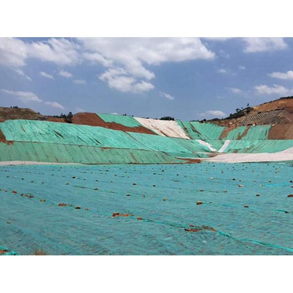 100% de PP para el verde de semillas de hierba no tejida que cubre el polvo