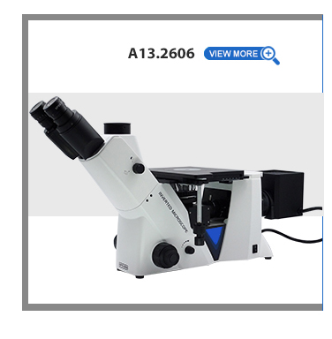 Trinocular Phase Contrast Inverted Optical Microscope OPTO-EDU A14.2603
