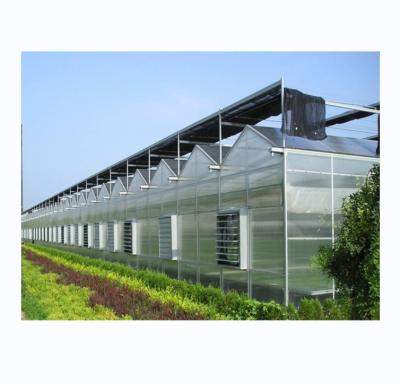 4m Bay Width Multi Span Greenhouse Agricultural Cover Material Super Strong Resistance