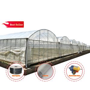 Tunnel Plastic Greenhouse