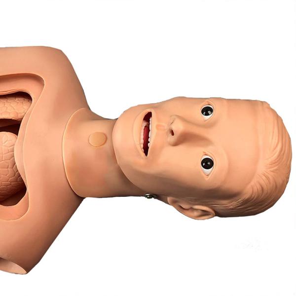 Feeding Nasogastric Tube Intubation Manikin Cpr Half Body For Medical Training
