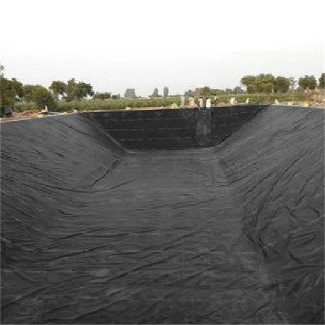 1.5mm 1mm 0.5mm HDPE геомембрана для рыбоводческих ферм Liner Dam Liner Стандарт