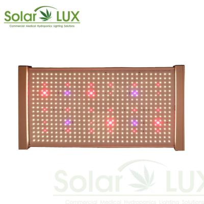 O espectro completo UV 2x2 de Seoul 395nm conduzido cresce a luz