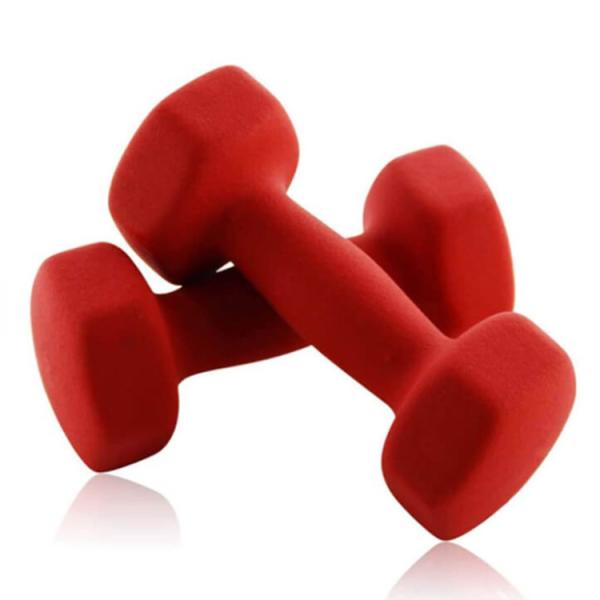 10LB Steel Rubber Fitness Dumbbell Hex Dumbbell Hexagon For Gym