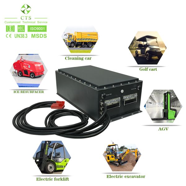 CTS Factory Custom Battery Pack 24V 36V 48V 100Ah 200Ah Lithium Lifepo4 Battery for AGV Robot Golf Cart Lift Elevator