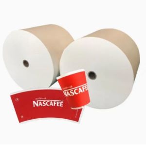 Waterproof Single Double PLA Coated Paper Cup Roll Custom Size High Bulk For Hot Cold Beverage Cups