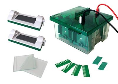 Jy-mini-p4 Protein Gel Electrophoresis Apparatus Vertical Mini Protean Electrophoresis Cell