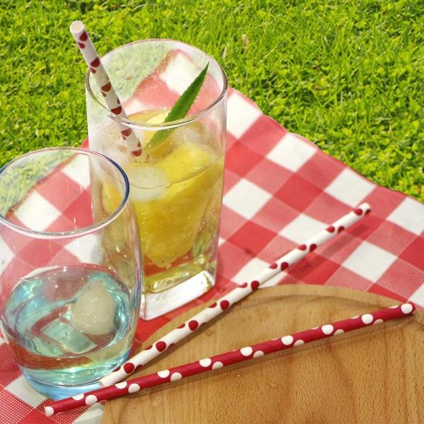 Disposable Graduation Paper Straws Juice Milkshake Smoothie Paper Straws