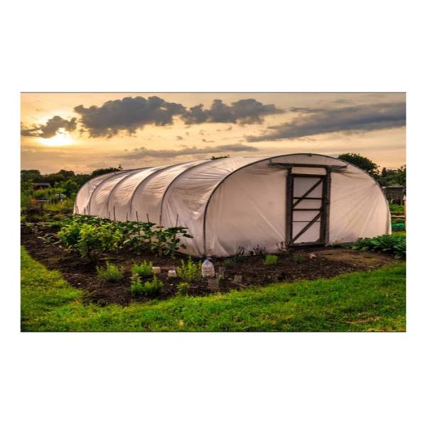 Strawberry Hydroponics Plastic Film Greenhouse , Polyethylene Film Greenhouse