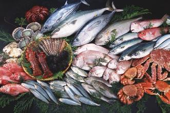 Электромагнитная волна металлоискателя иглы транспортера SUS для одежды