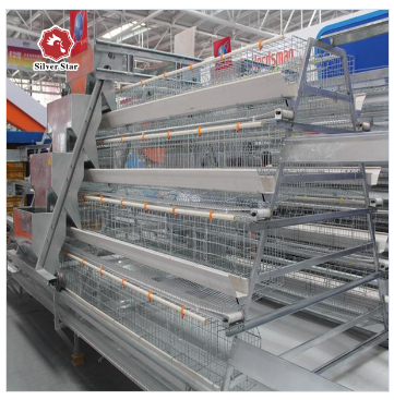 Подгонянные клетки собрания яйца Multi клетки птицы слоя автоматические