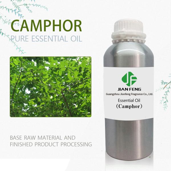 100ml косметическое камфорное масло эфирных масел 100% чистое для OEM здравоохранения массажа