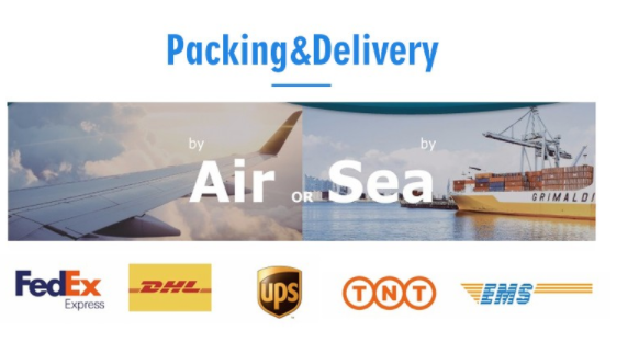 Fashion Institute Ladies Leather Backpack For Women , Butterfly Embroidery Printing