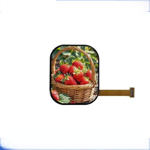 2.05 Inch Amoled Dot Display 368*448 For Outdoor Definition Color Screen