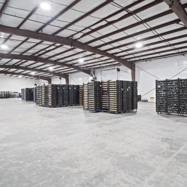 Fire Proof Commercial Steel Structure Workshop Building with Sandwich Panel