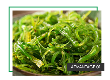 Shandong Frozen Seaweed Slices for Sweet and Sour Salad Seasoning 1 Year Shelf Life