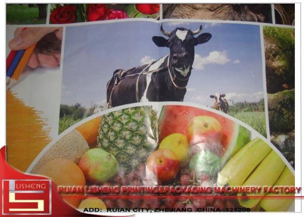 CE / ISO Certificated flexo printing unit for fabric , polygraph bag